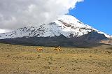 ECUADOR - Vulcano Chimborazo 6310 metri - 09